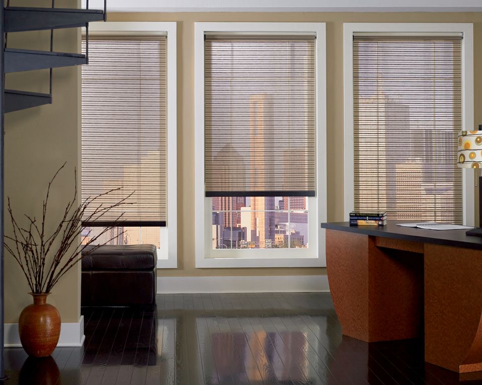 Roller Shade 1